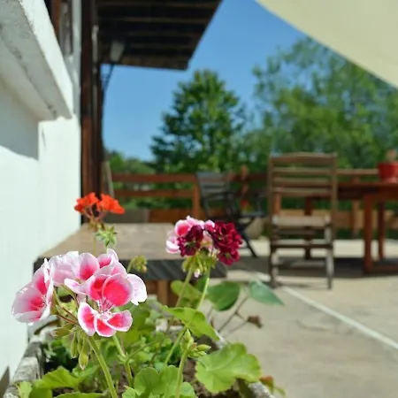 Echo Des Montagnes Chalmazel-Jeansagniere
